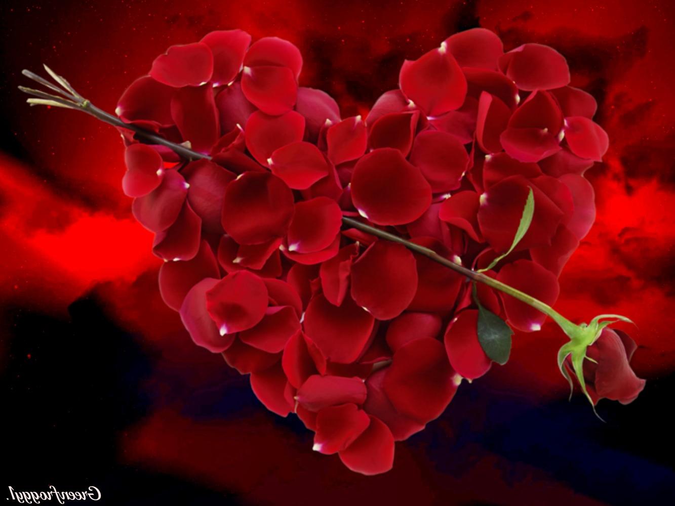 natural red petals heart wallpaper