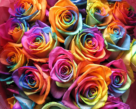 abstract style colorful roses image