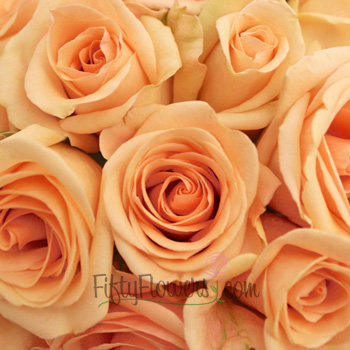 awesome peach rose flowers image