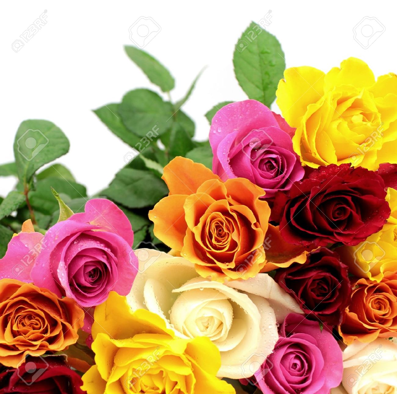 bouqet colorful roses wallpaper