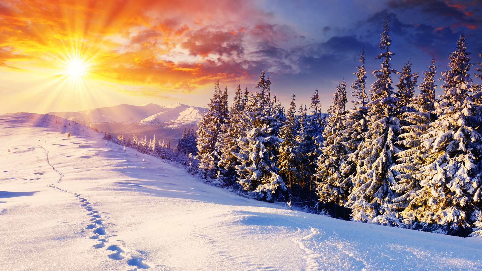 latest hd winter wallpapers