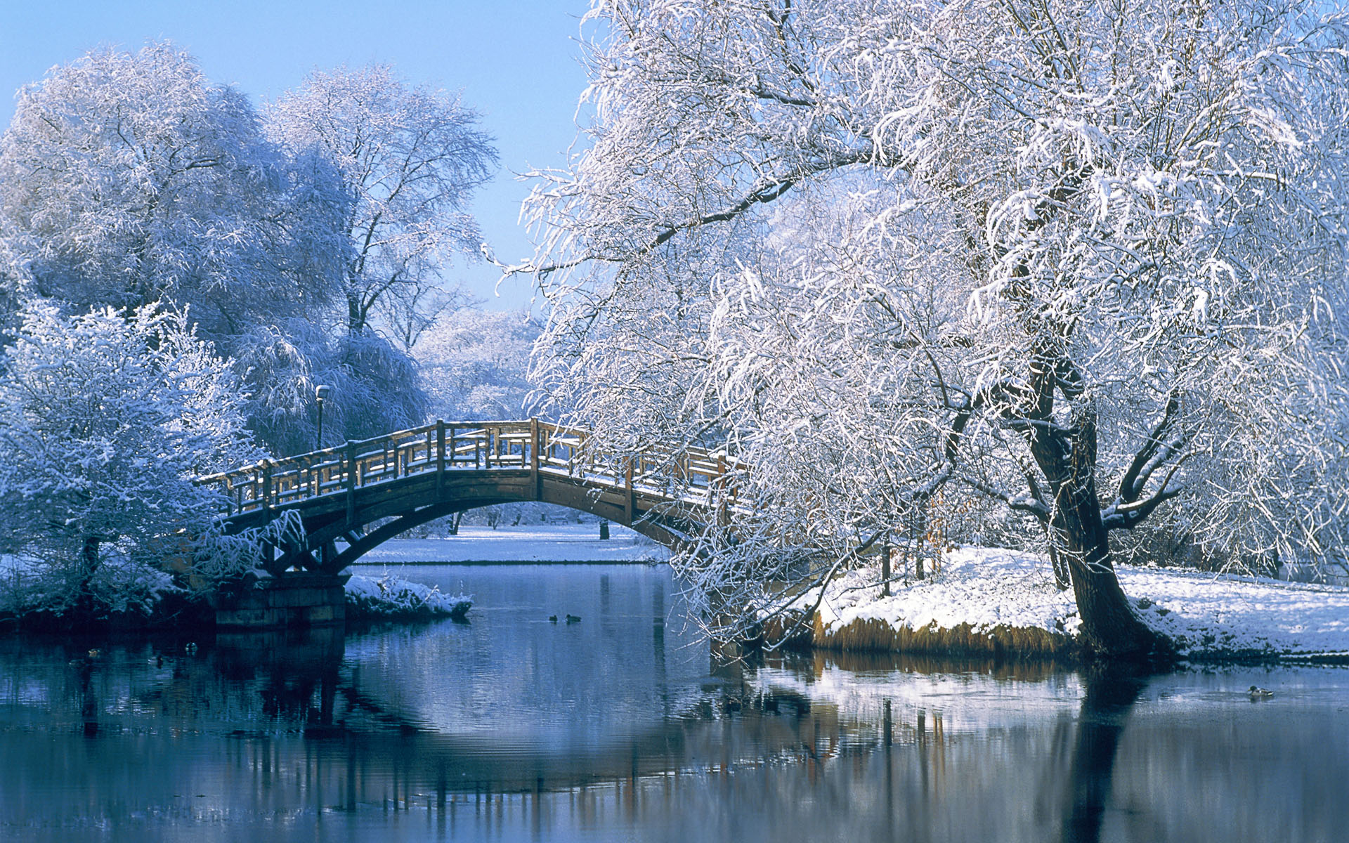 bridge over a pond in the winter