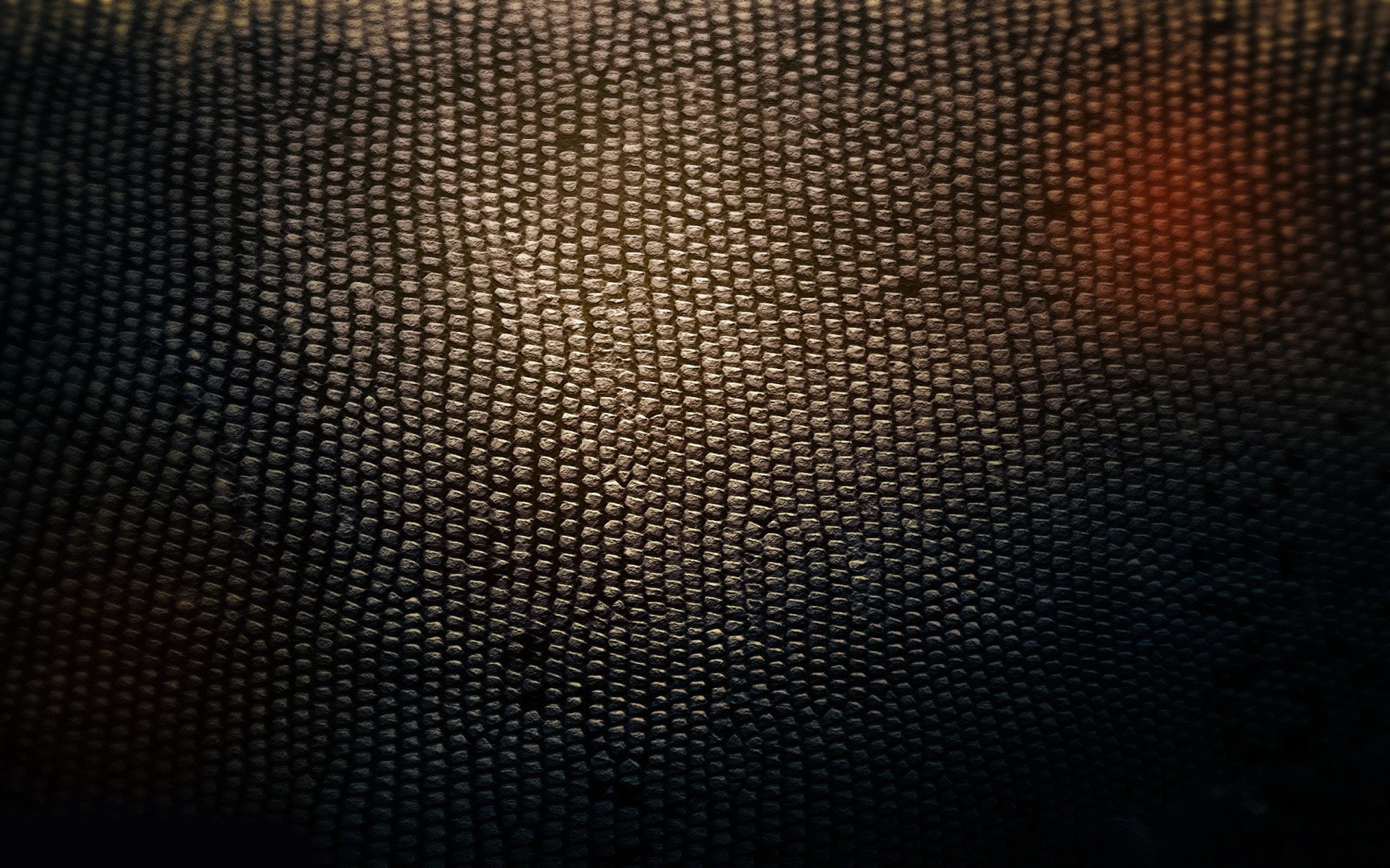snake print skin wallpapers