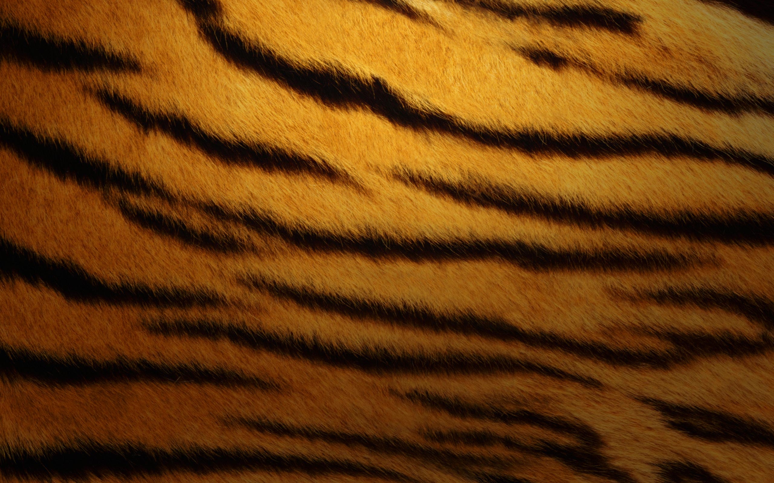 tiger skin wallpapers