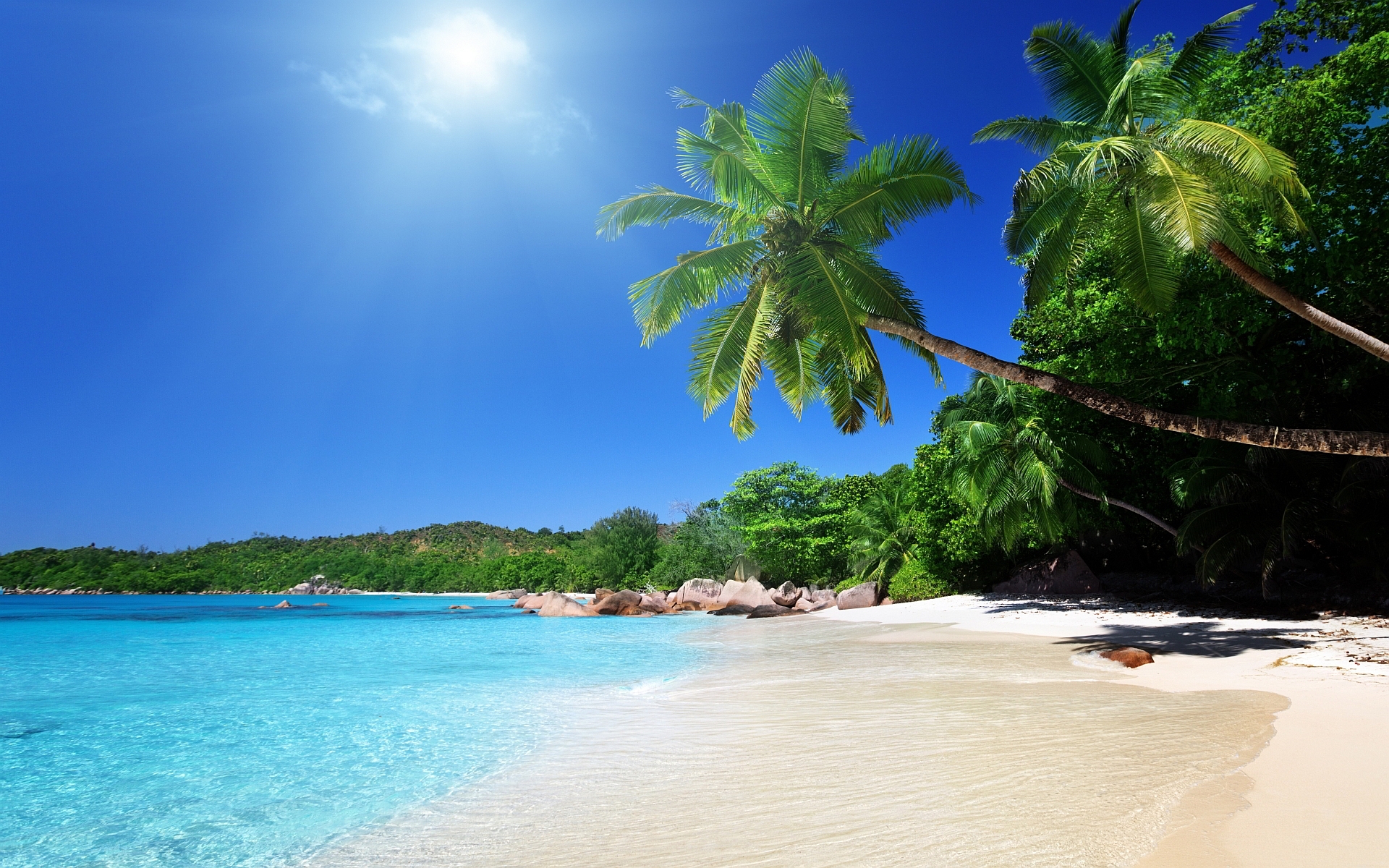 sunshine beautiful beach image