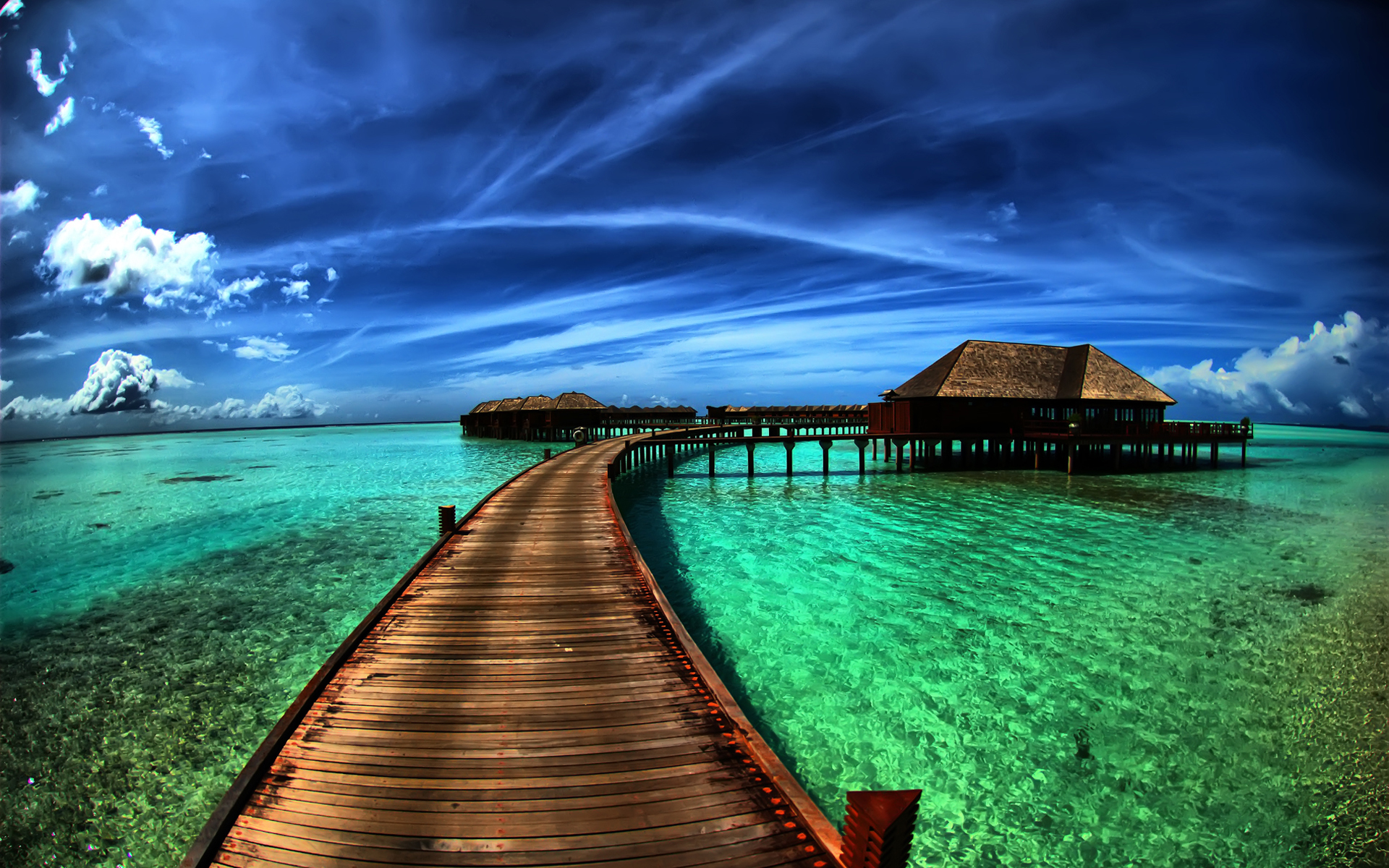 tropical hd background