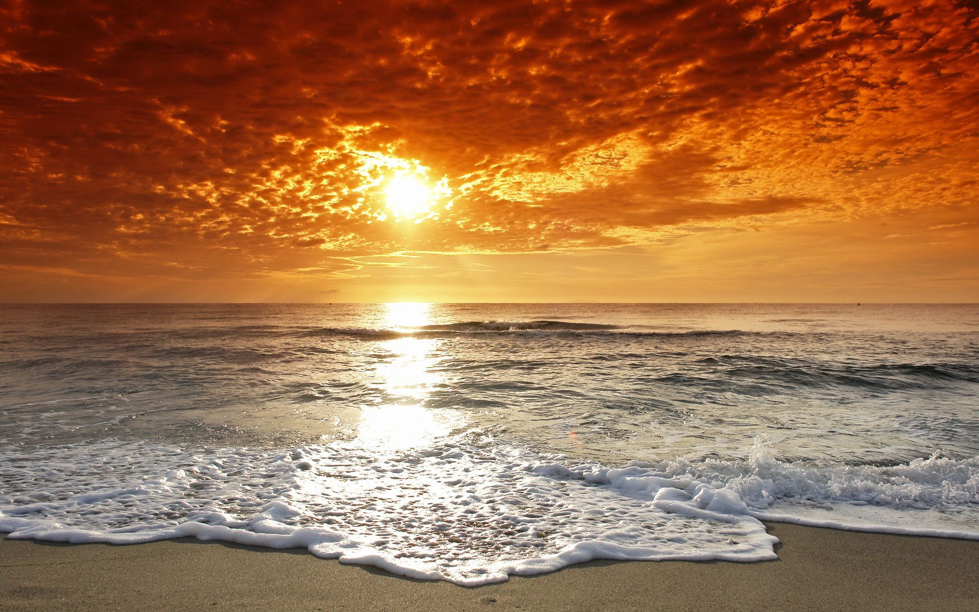 amazing beach sunset landscape