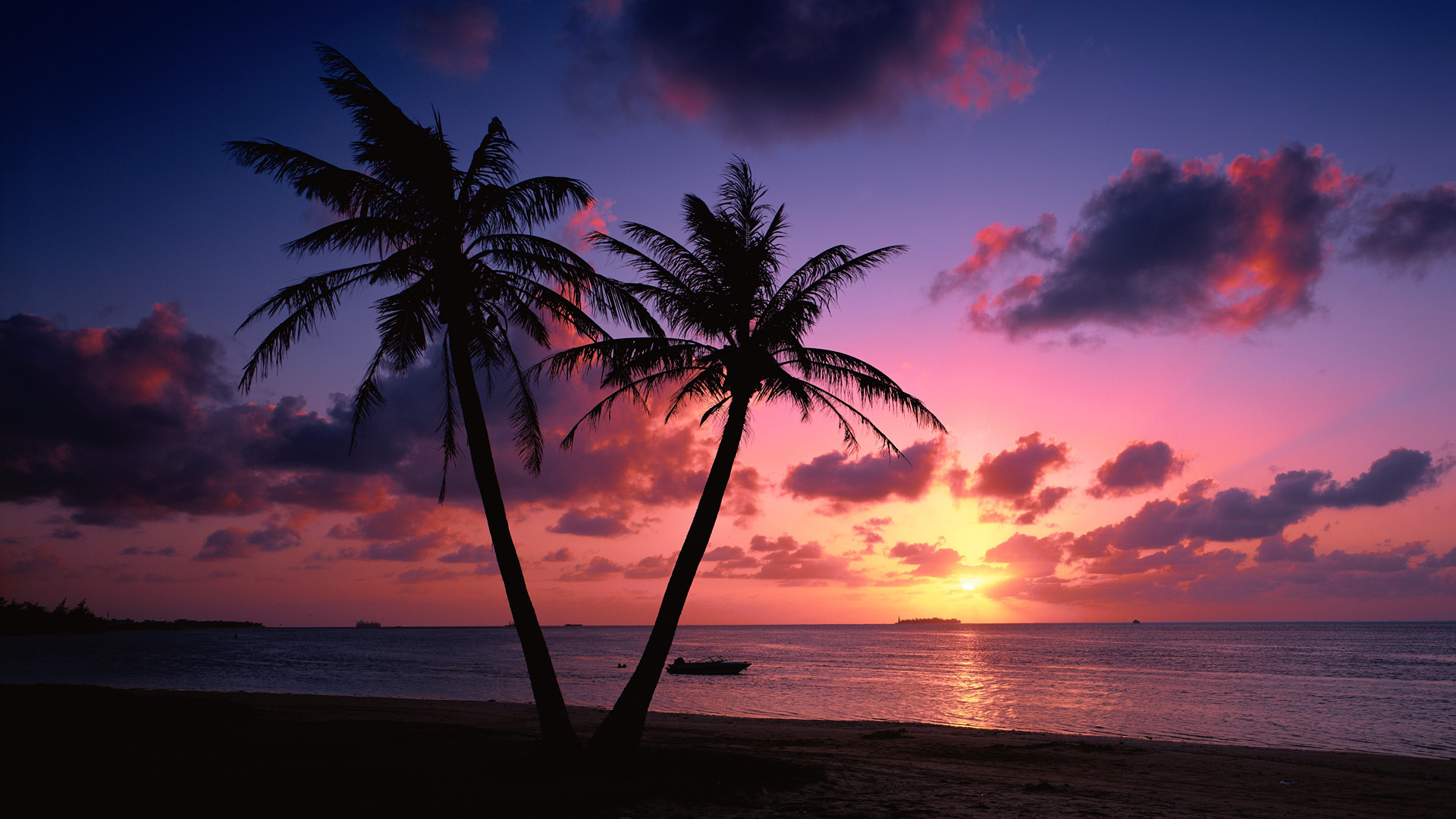 beach sunset landscape image