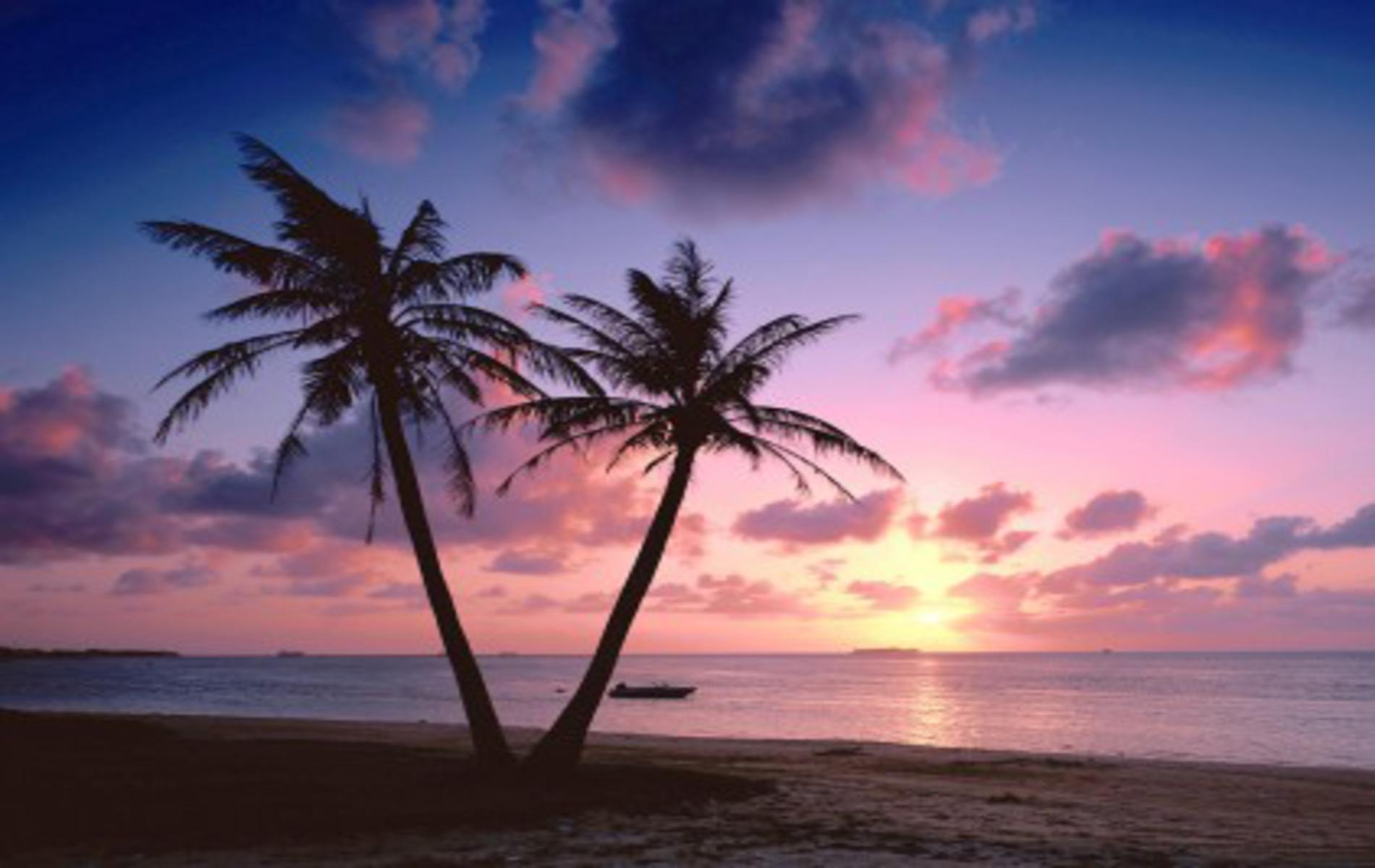 beautiful red rays of sunset image