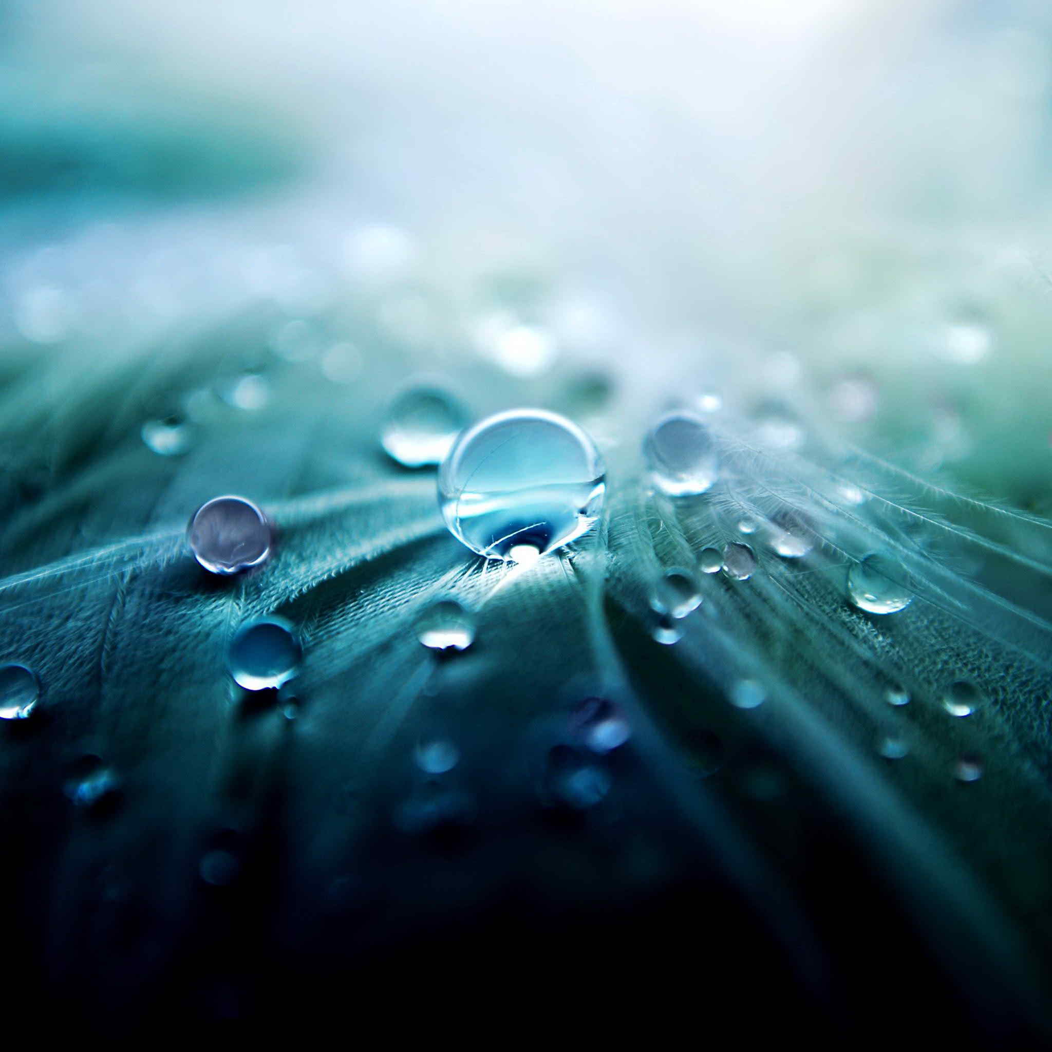 drop of water new hd wallpapers