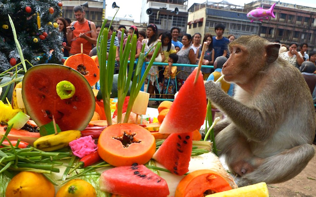 so nice monkey buffet festival image