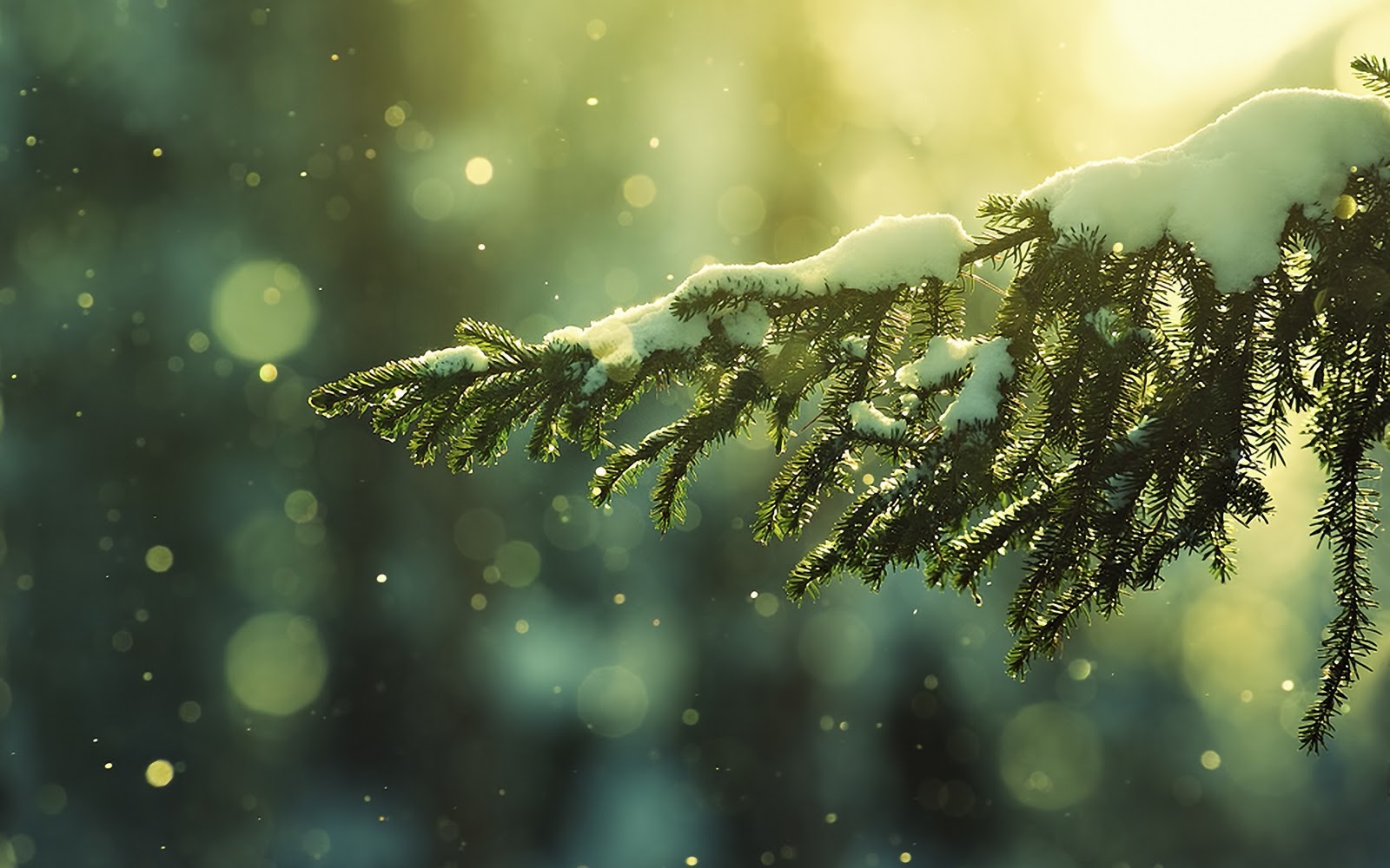 snowfall on tree image