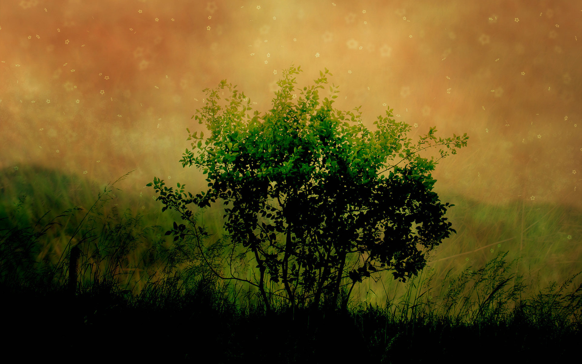 widescreen top wallpaper hd