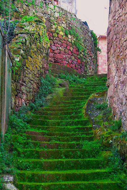 awesome mossy stairways wallpaper