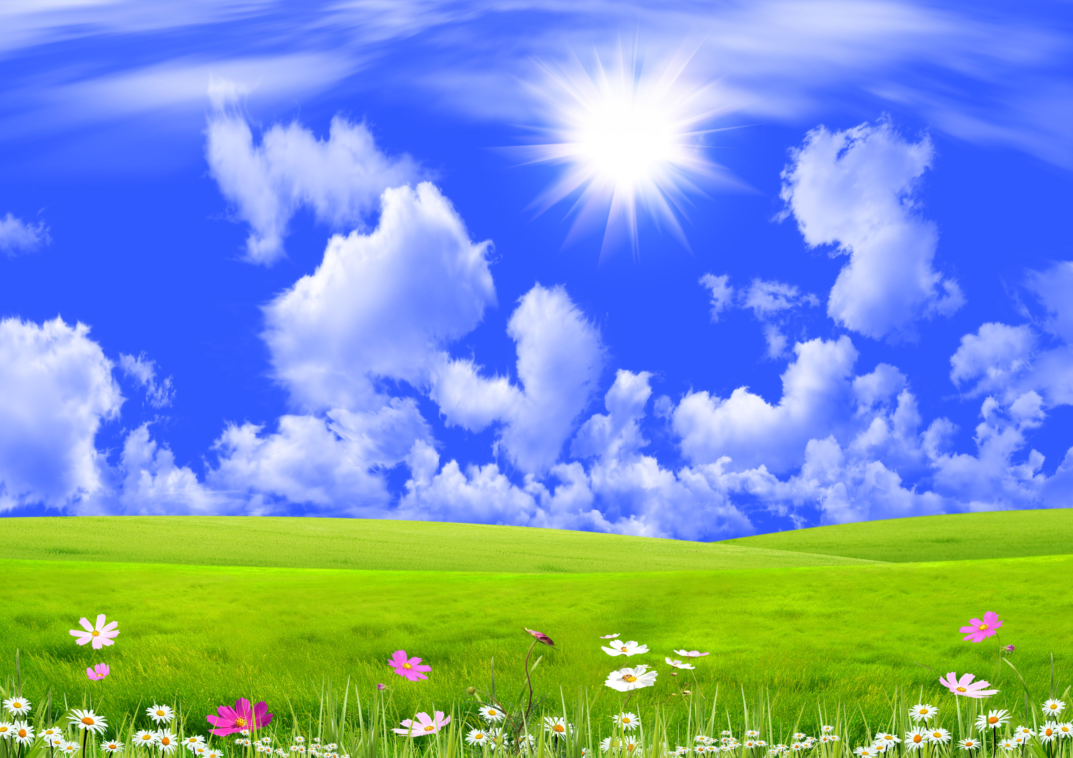 Spring Meadow Desktop Background