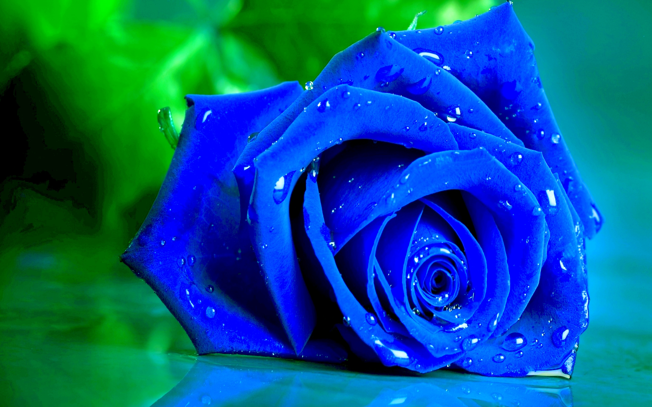 awesome blue flower image