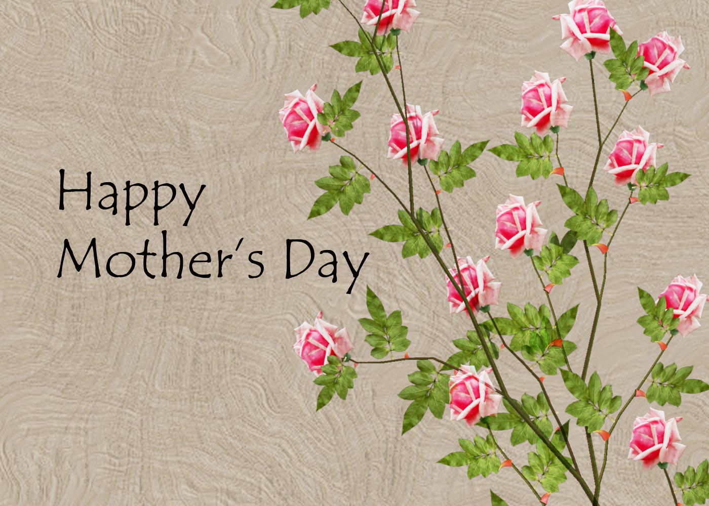 pink rose background hd