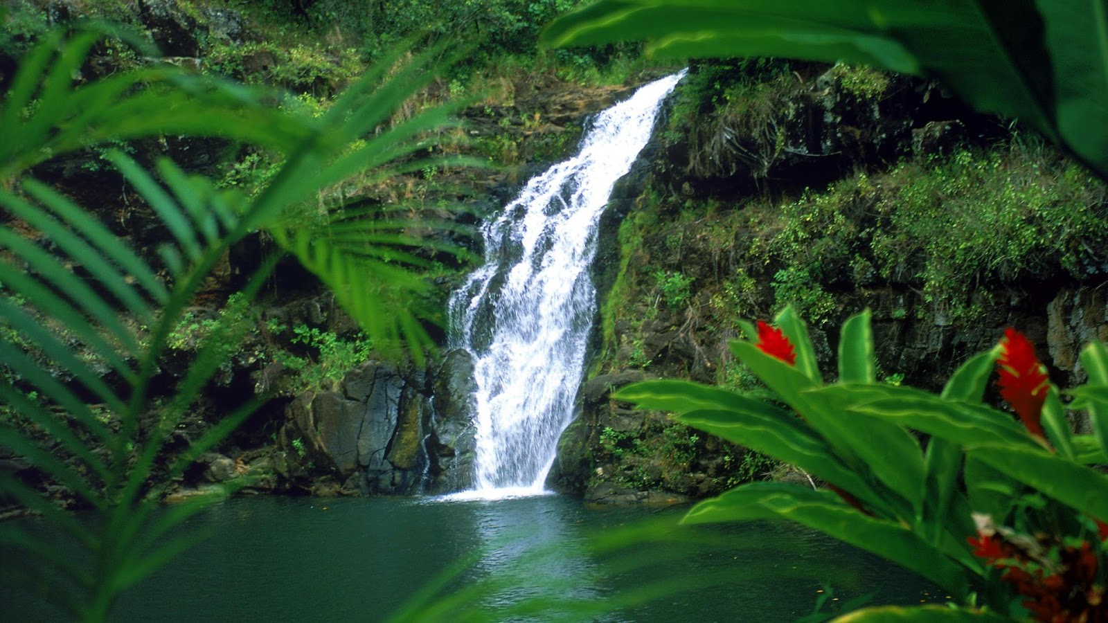 beautiful 3d waterfall image