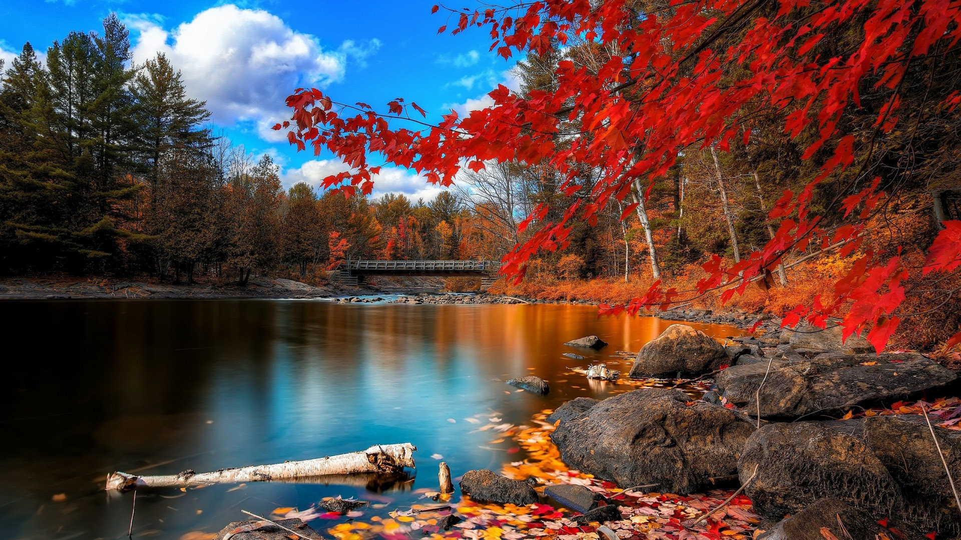lake in the autumn wallpaper