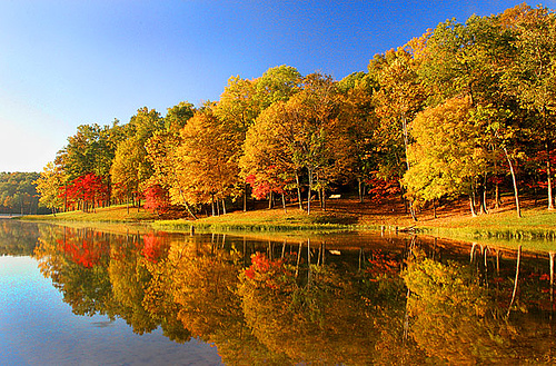 widescreen lake in autumn