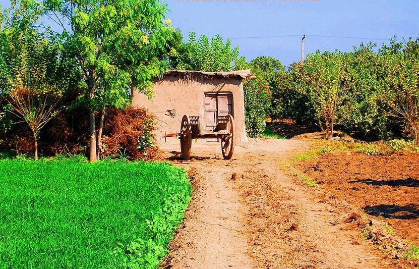 photos of pakistani villages