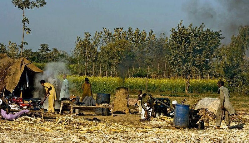 villagers making gur from the sugarcane
