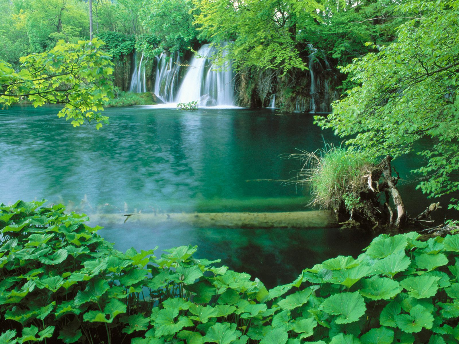 plitvice national park image