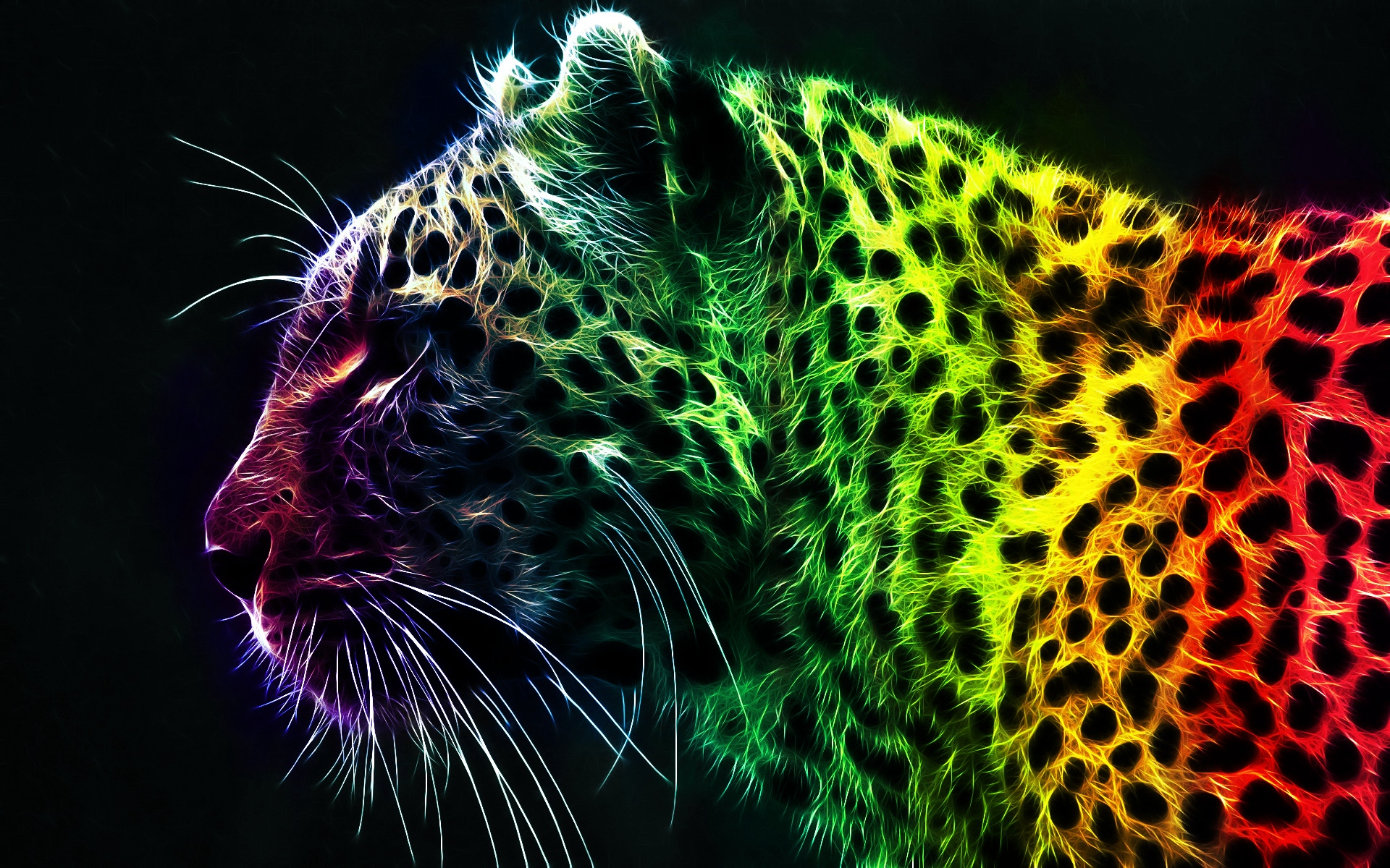colorful tiger wallpaper 3d