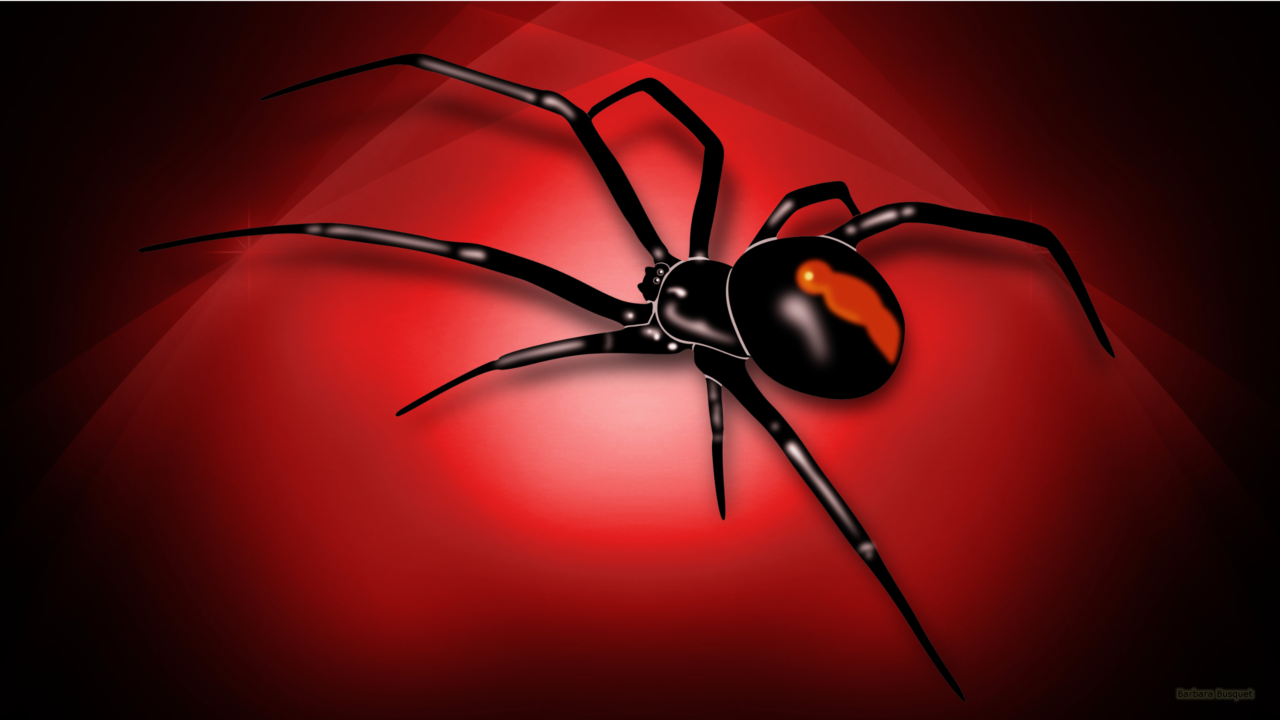 hd wallpaper with red white spider