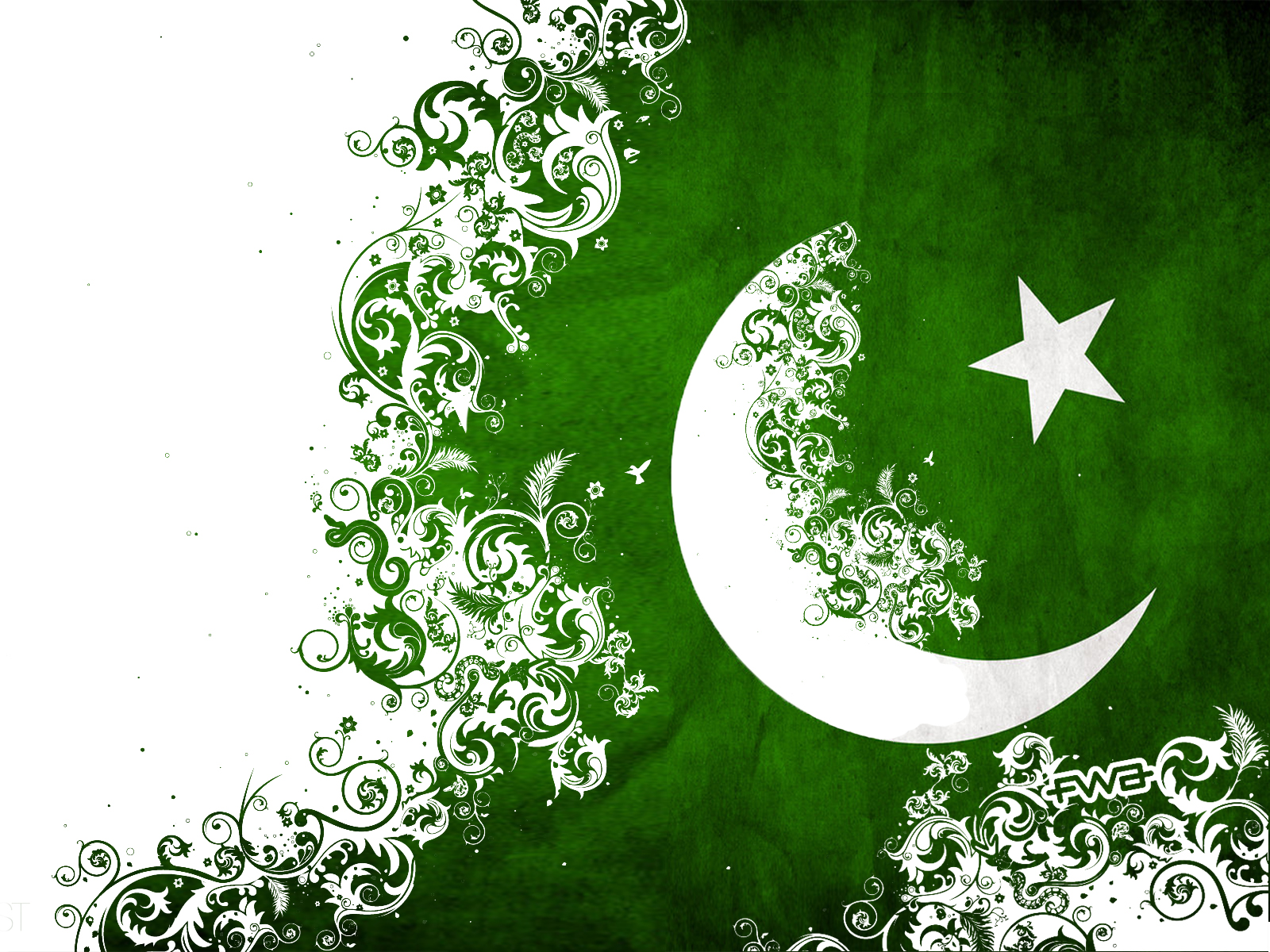green and white pakistan flag