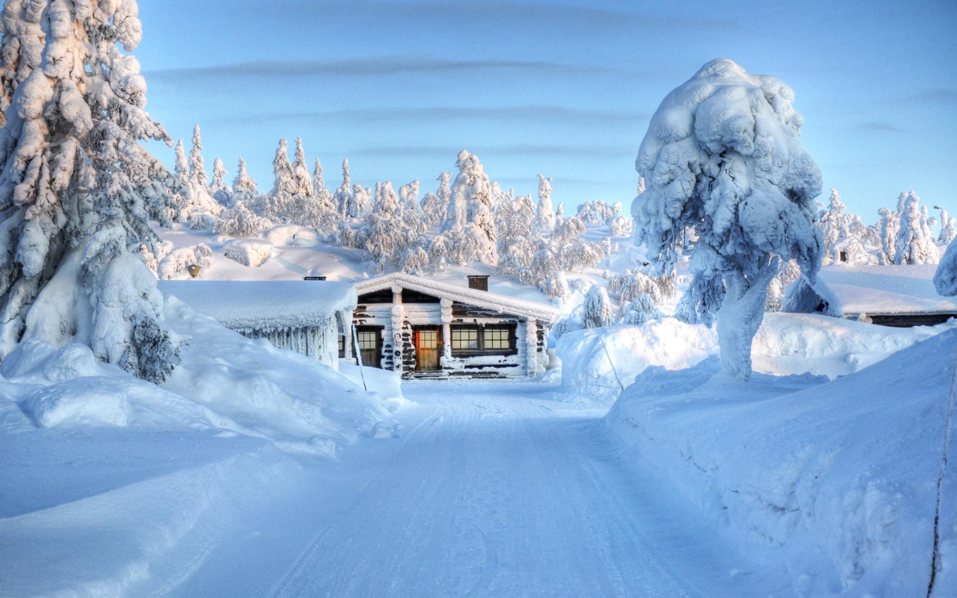 widescreen natural snow image