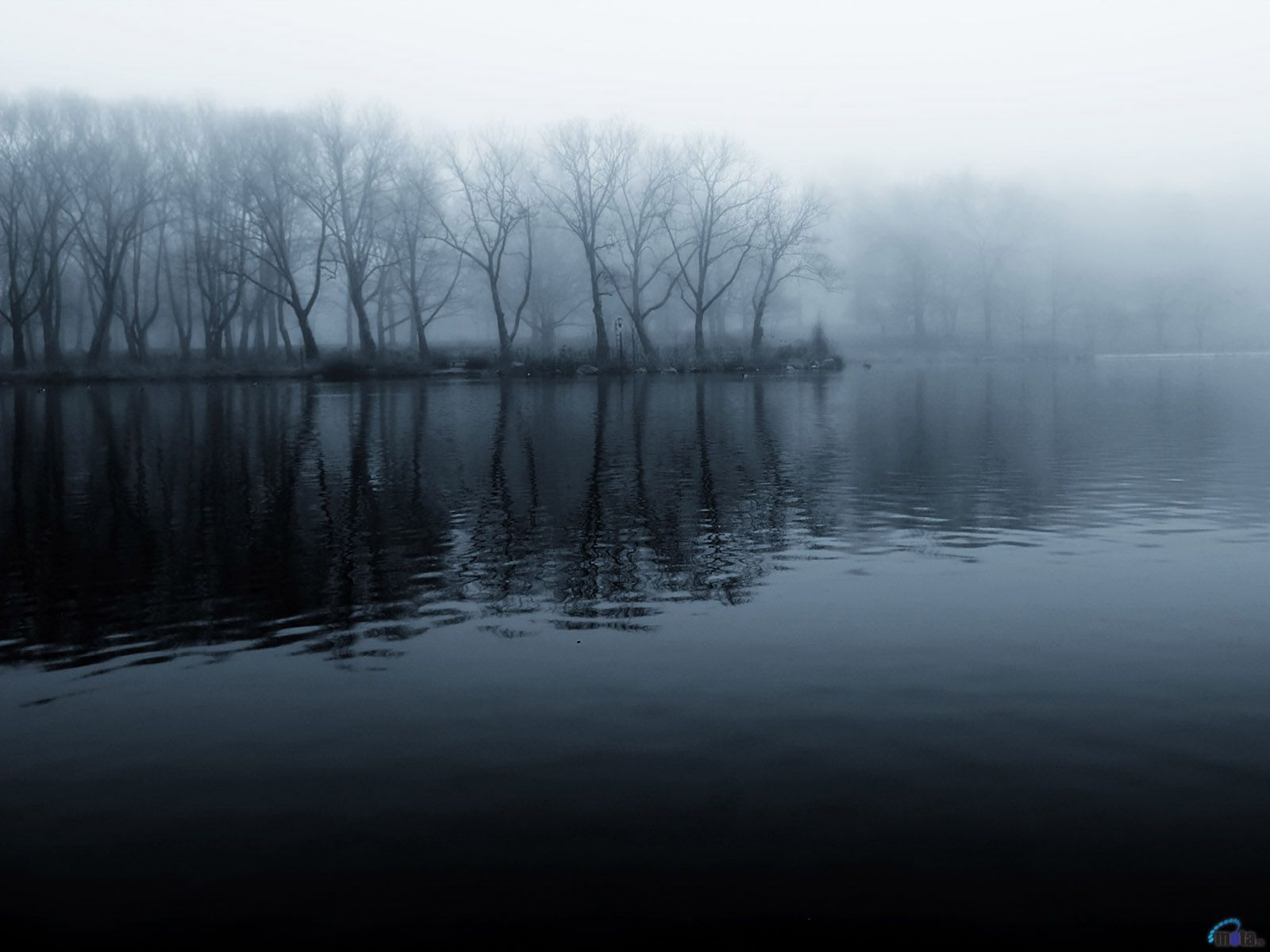 free hd natural photo