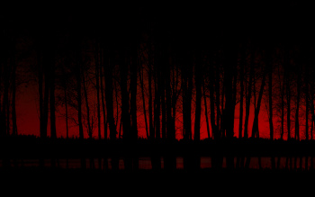 red and black forest image