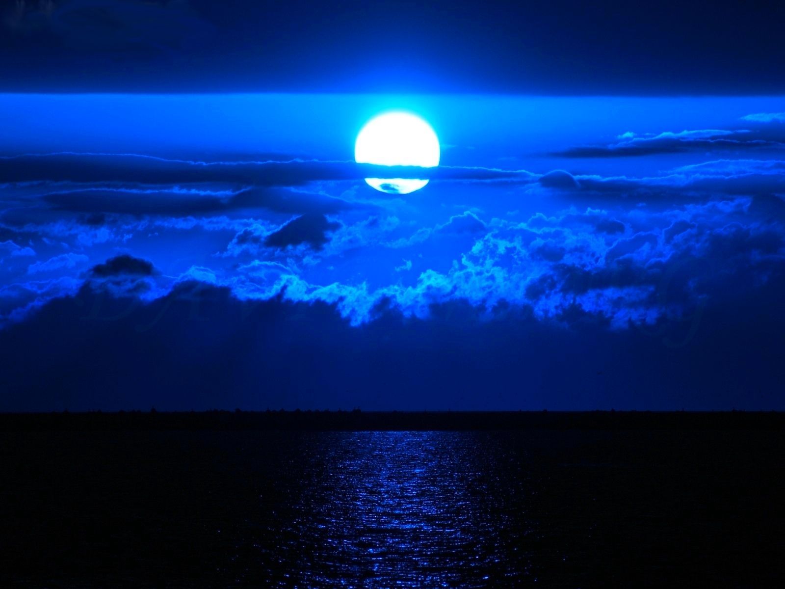 sea blue moon night view