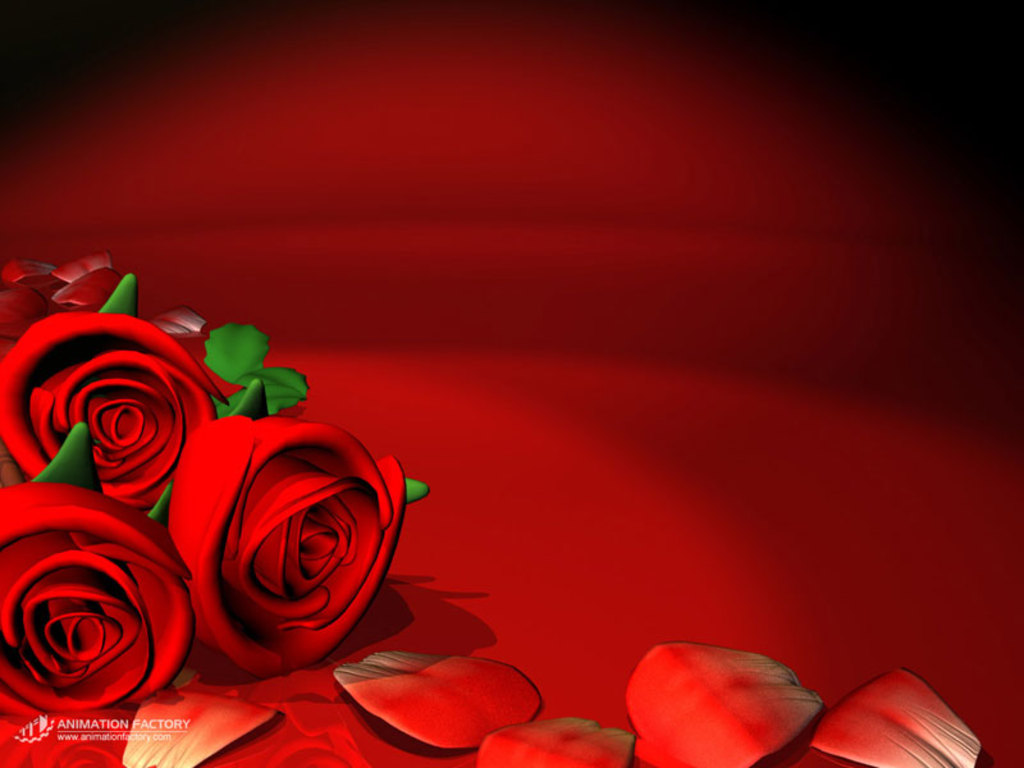 animated red rose image