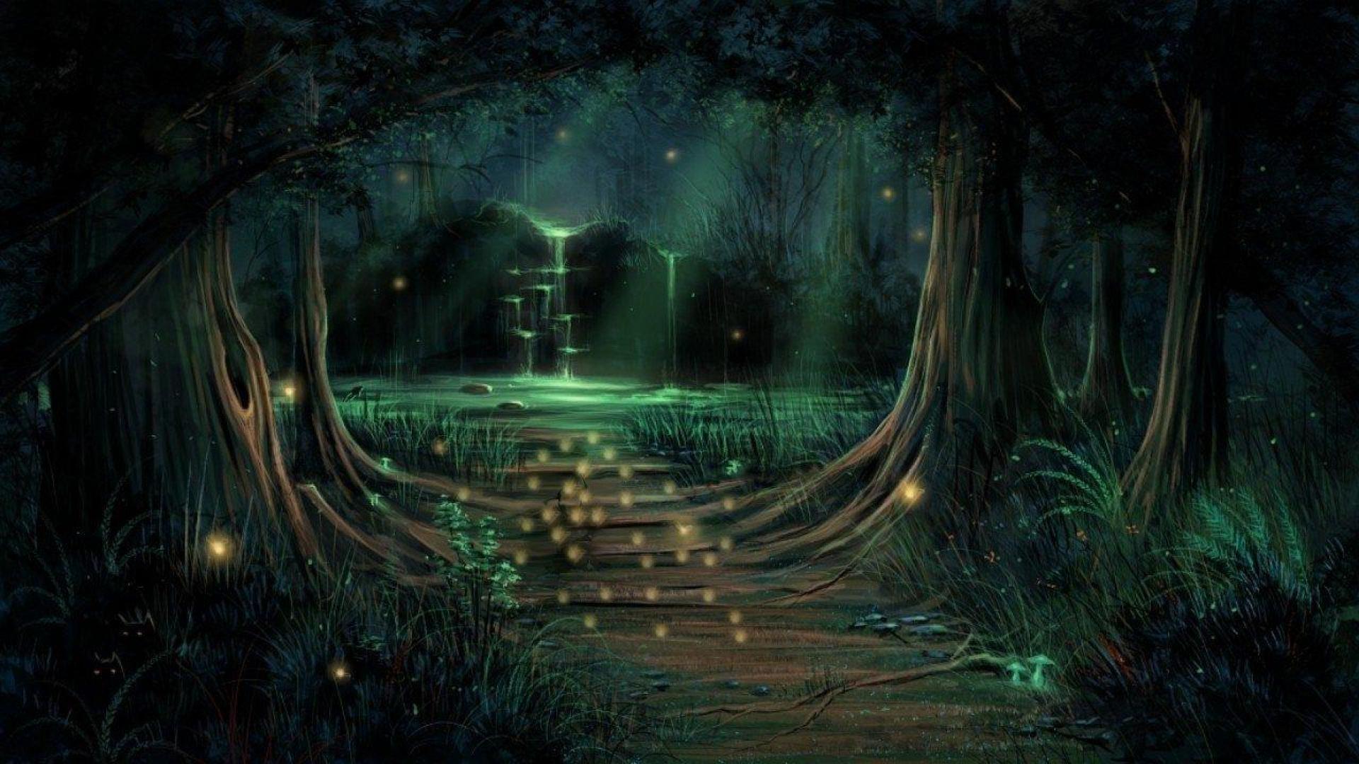beautiful hd enchanted forest