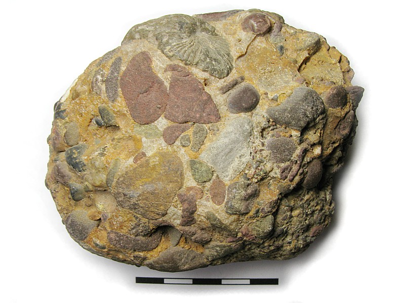 beautiful hd conglomerate rock