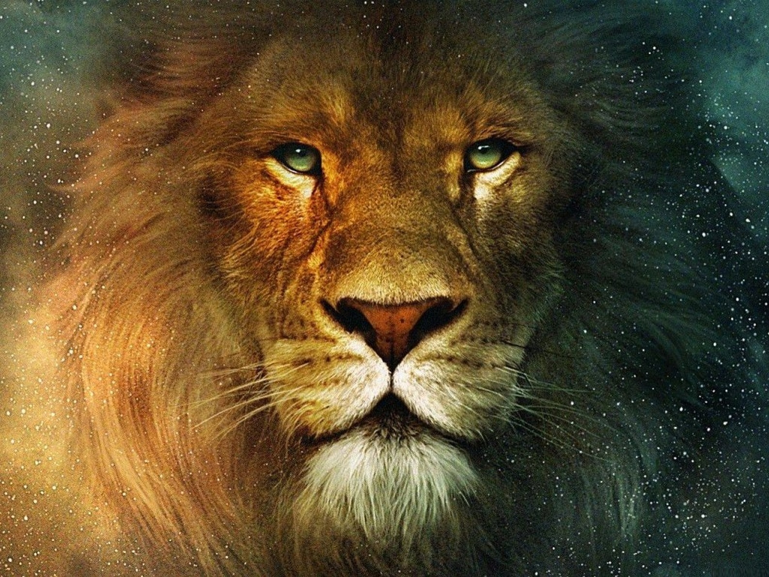 big lion nature image