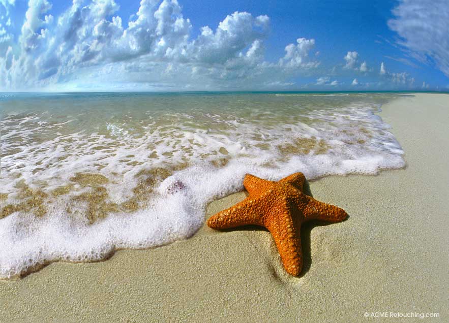 cool hd starfish on beach