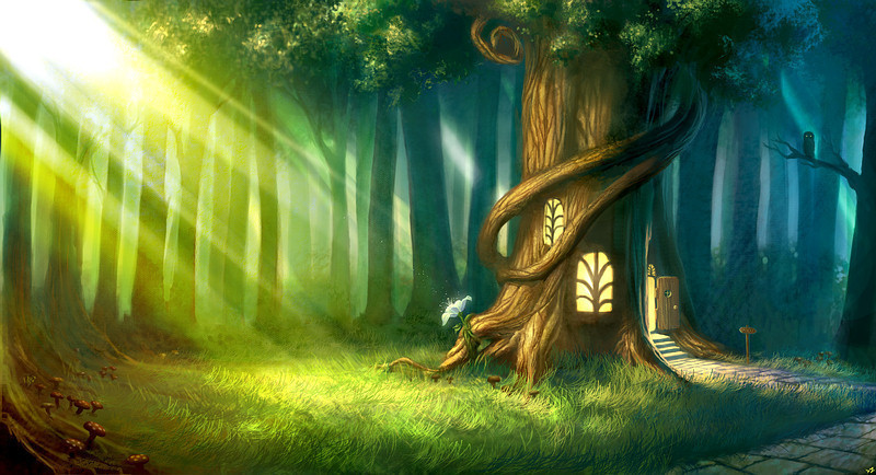magic enchanted forest image