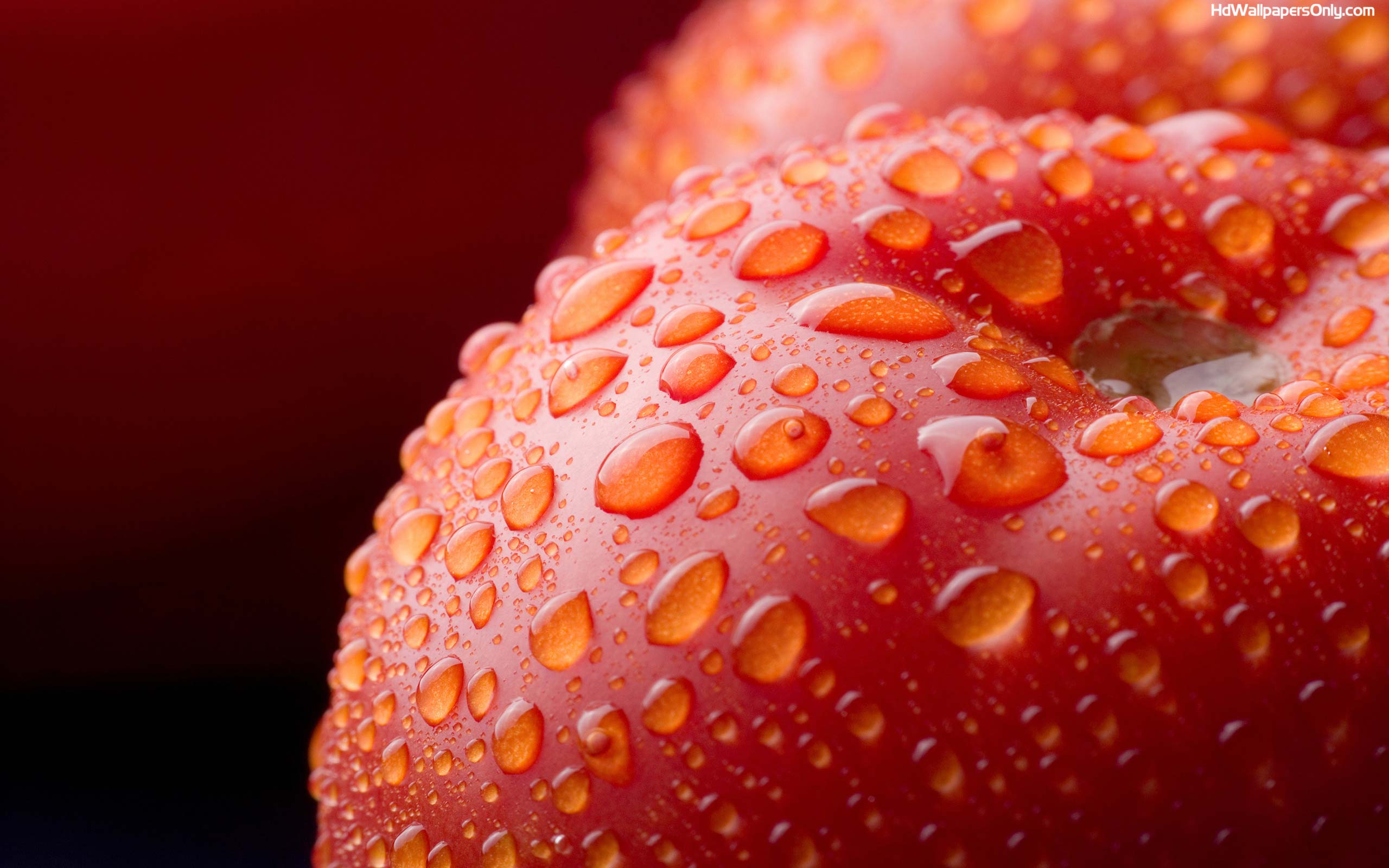 red apple on drop of water