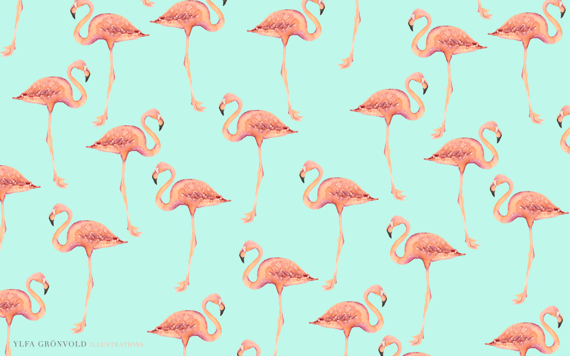 beautiful flamingo wallpaper