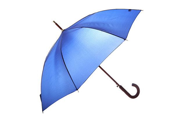 best blue umbrella image