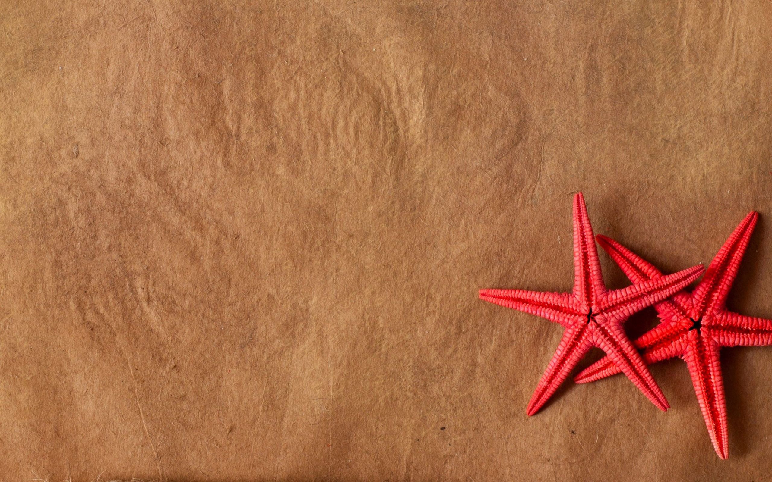 red starfish background