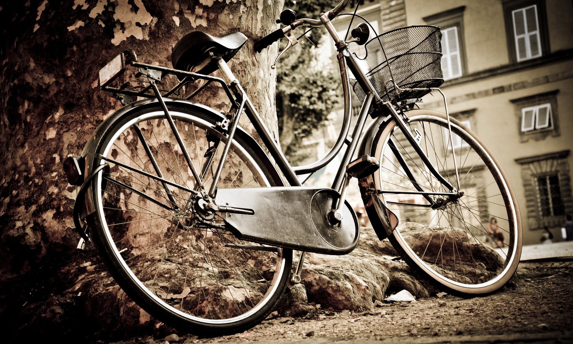 amazing hd bicycle image