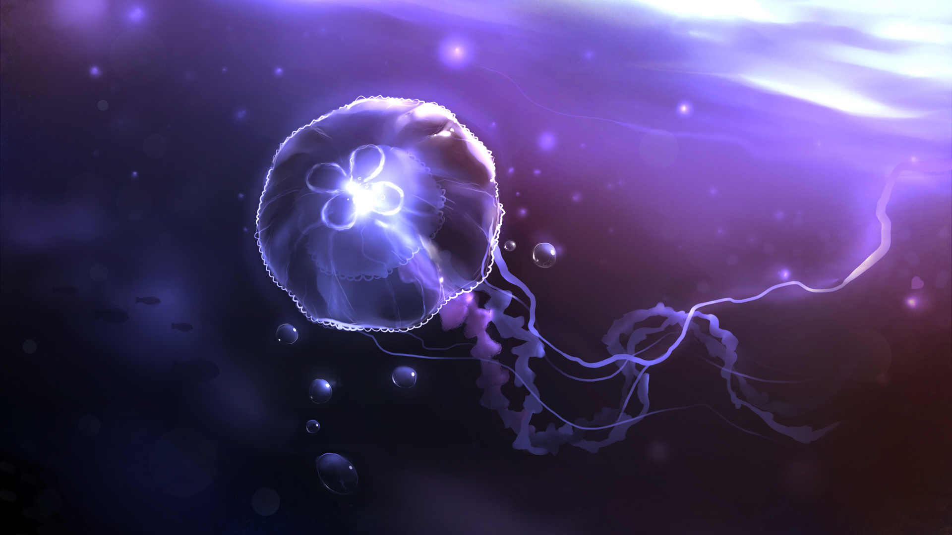 beautiful jellyfish wallpaper for desktop