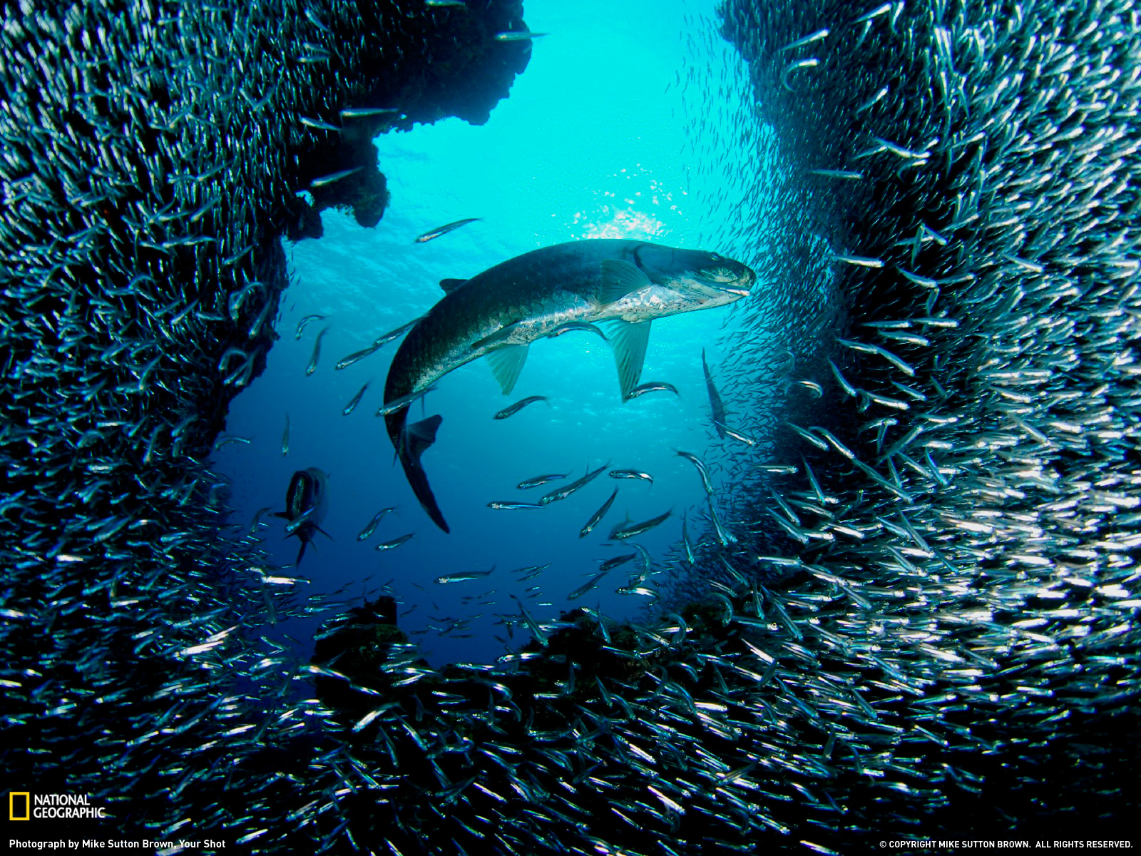 landscape natural under water image