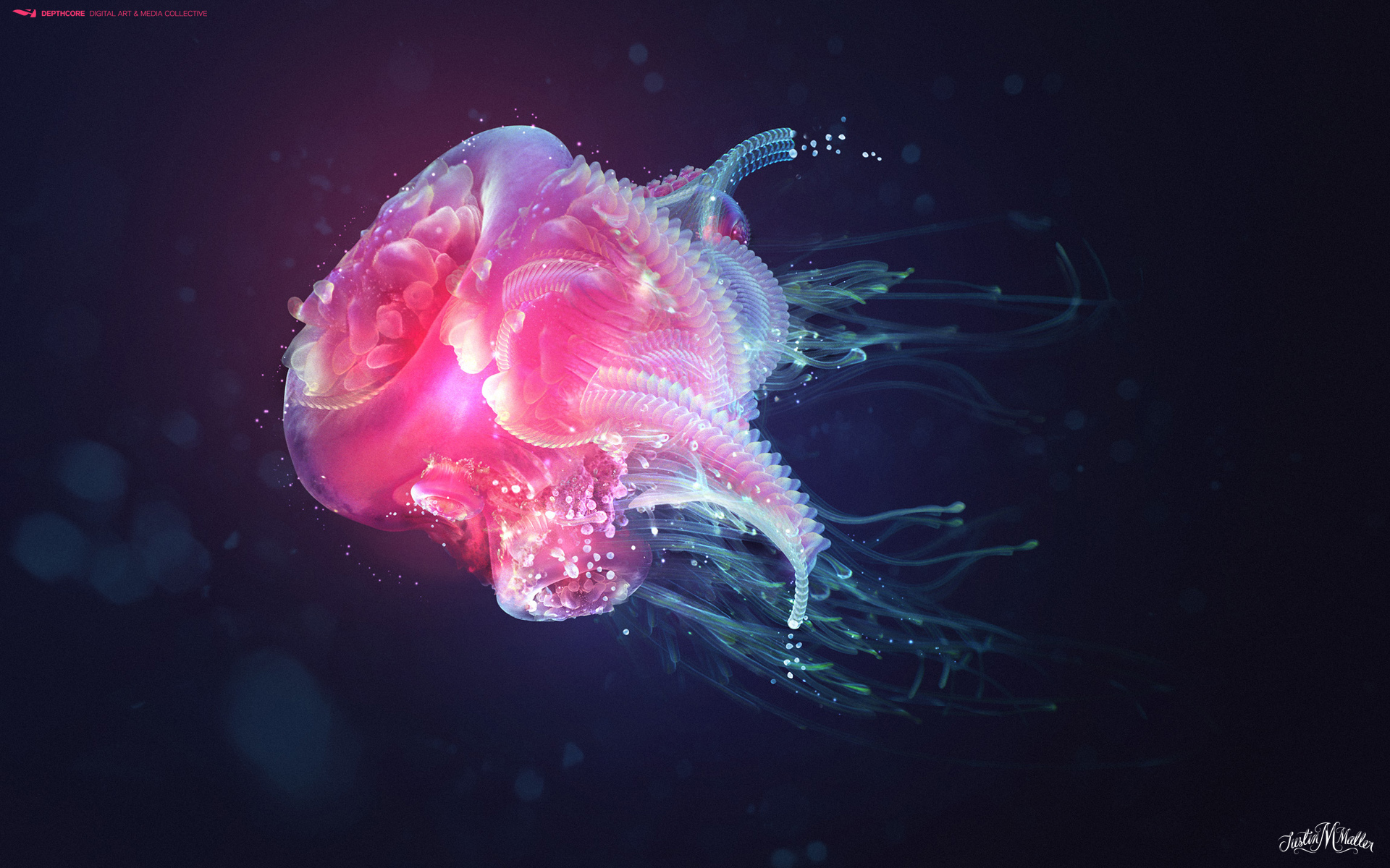 most popular jellyfish image