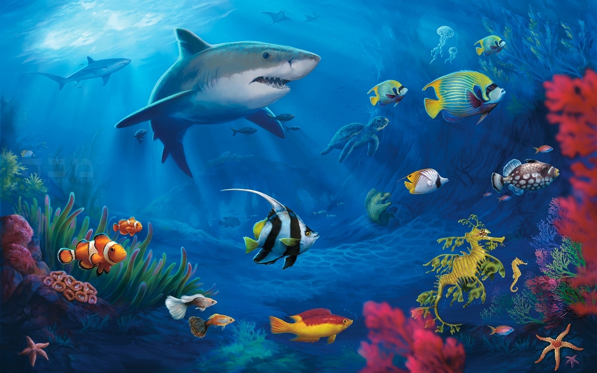 underwater world hd image