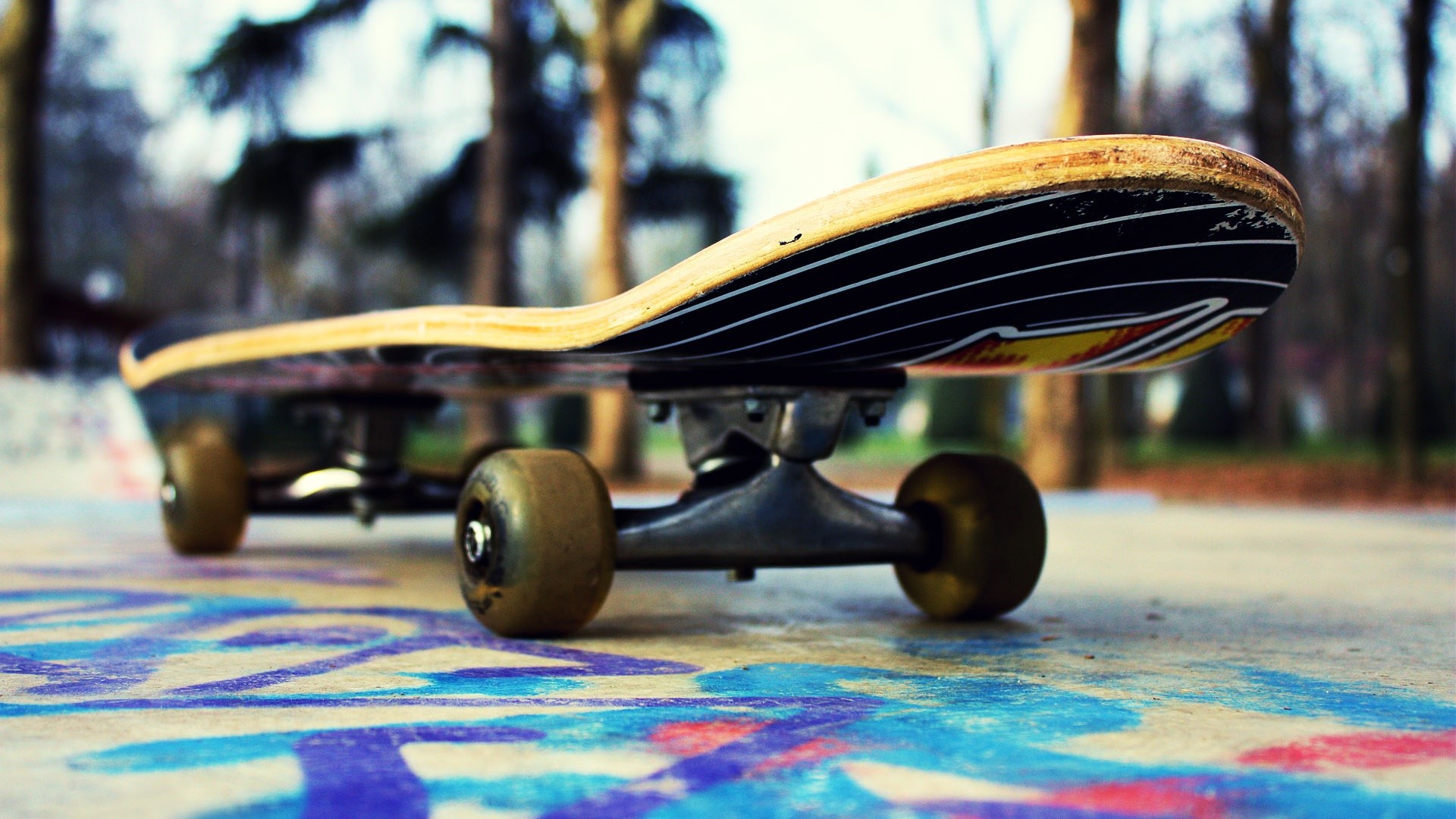 aweome skateboard photo